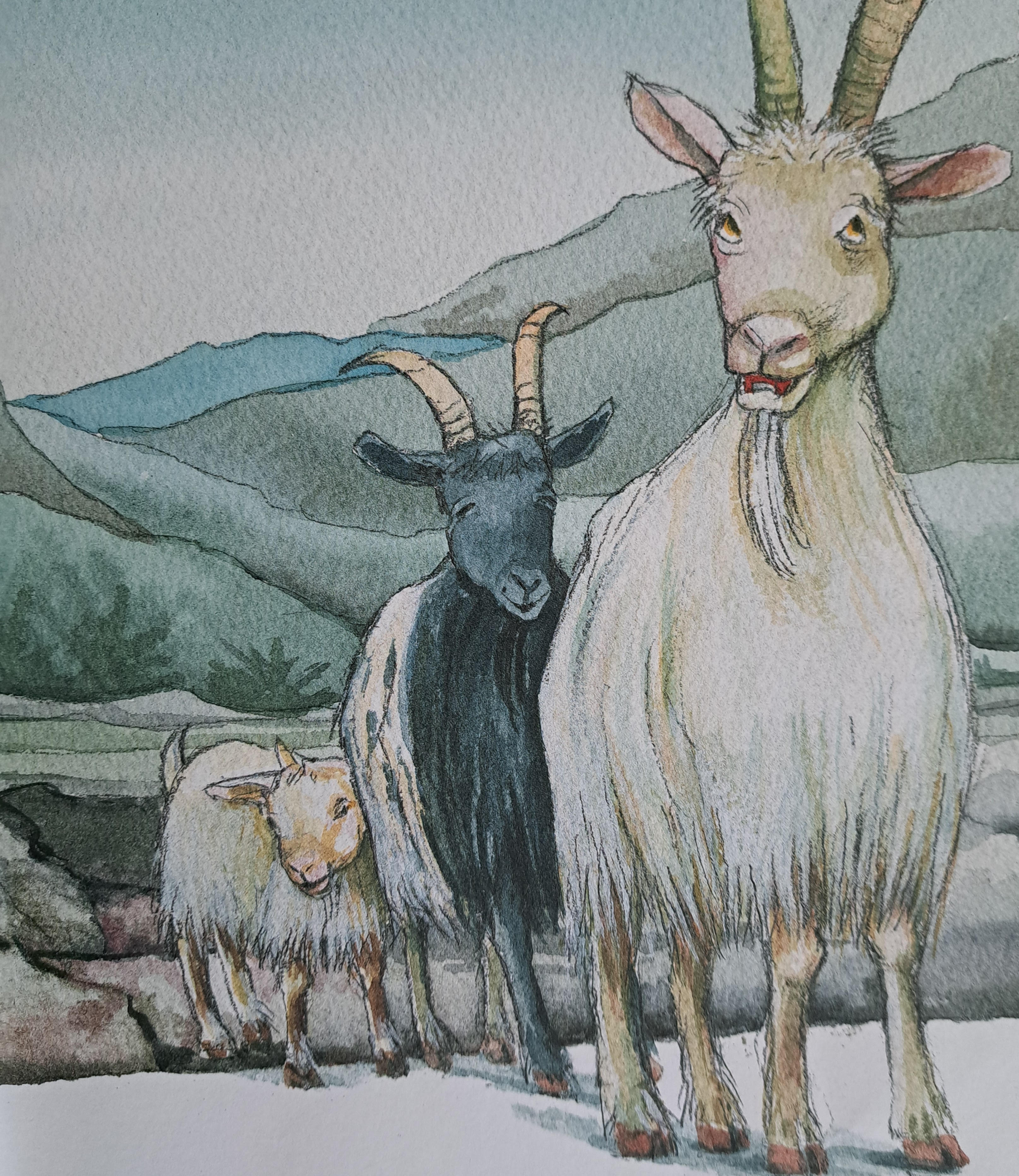 picture of goat in children's book
